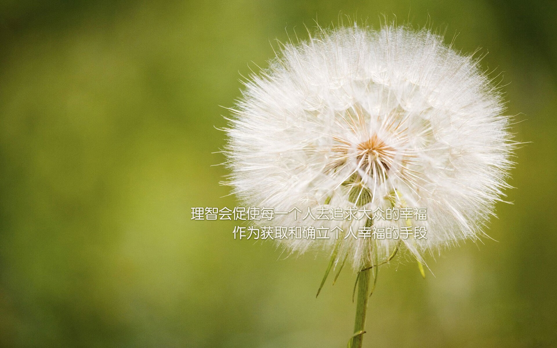 亚洲杯中国足球夺冠 球迷激情洋溢,中国 亚洲杯 足球