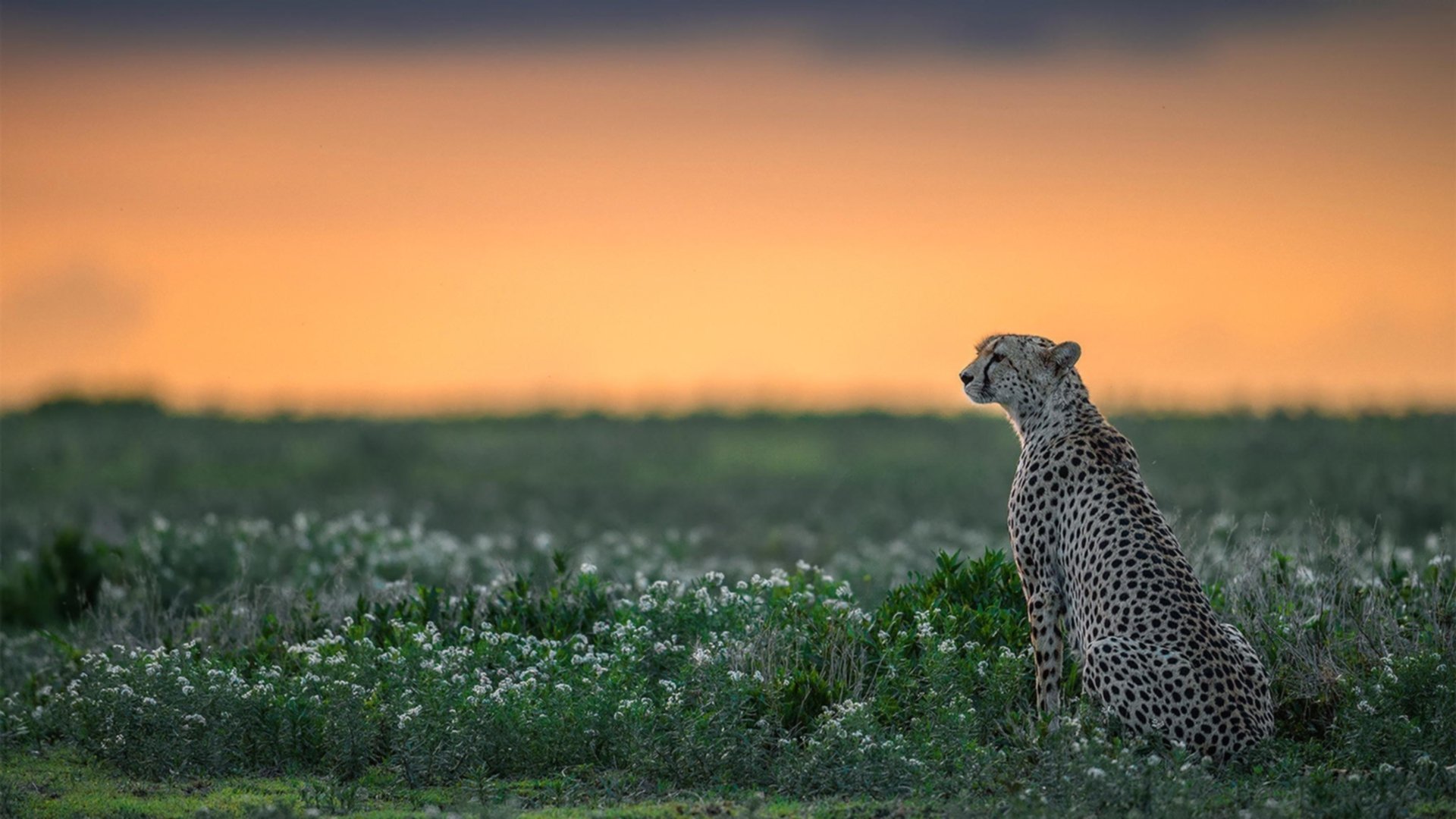 博卡青年展现韧性,但技术短板明显,博卡青年培养出的球星