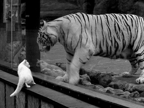 奥预赛国家队爆冷 球迷讨论焦点转移，奥预赛排名