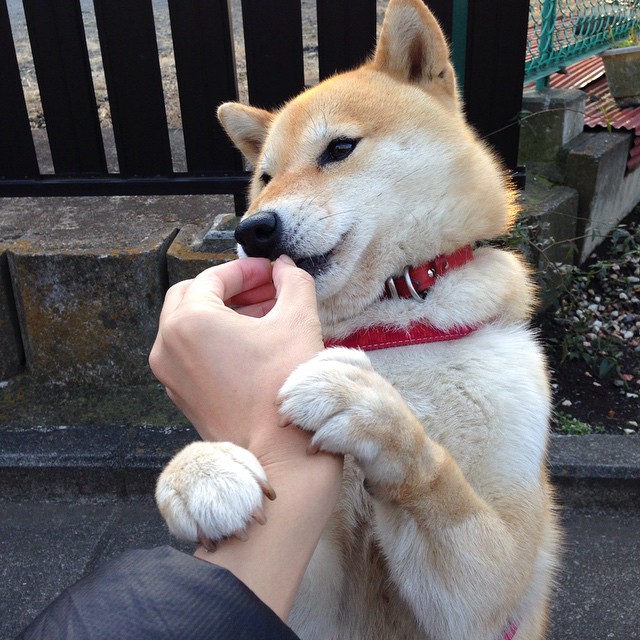 无球移动空间感强的球员技术特征，无球卡位可以移动吗