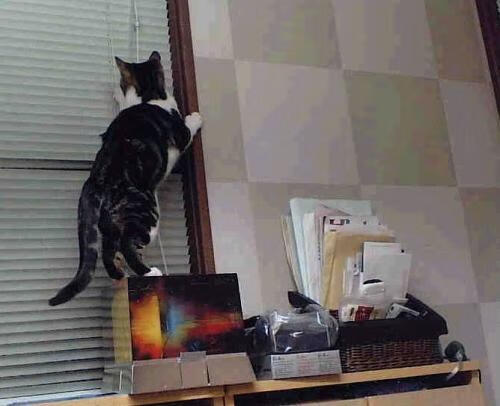 体育新闻中心不败纪录盘点，体育新闻 体坛快讯