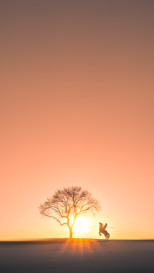 吉尔吉斯斯坦女篮在欧洲锦标赛中稳步前行，逐渐崭露头角