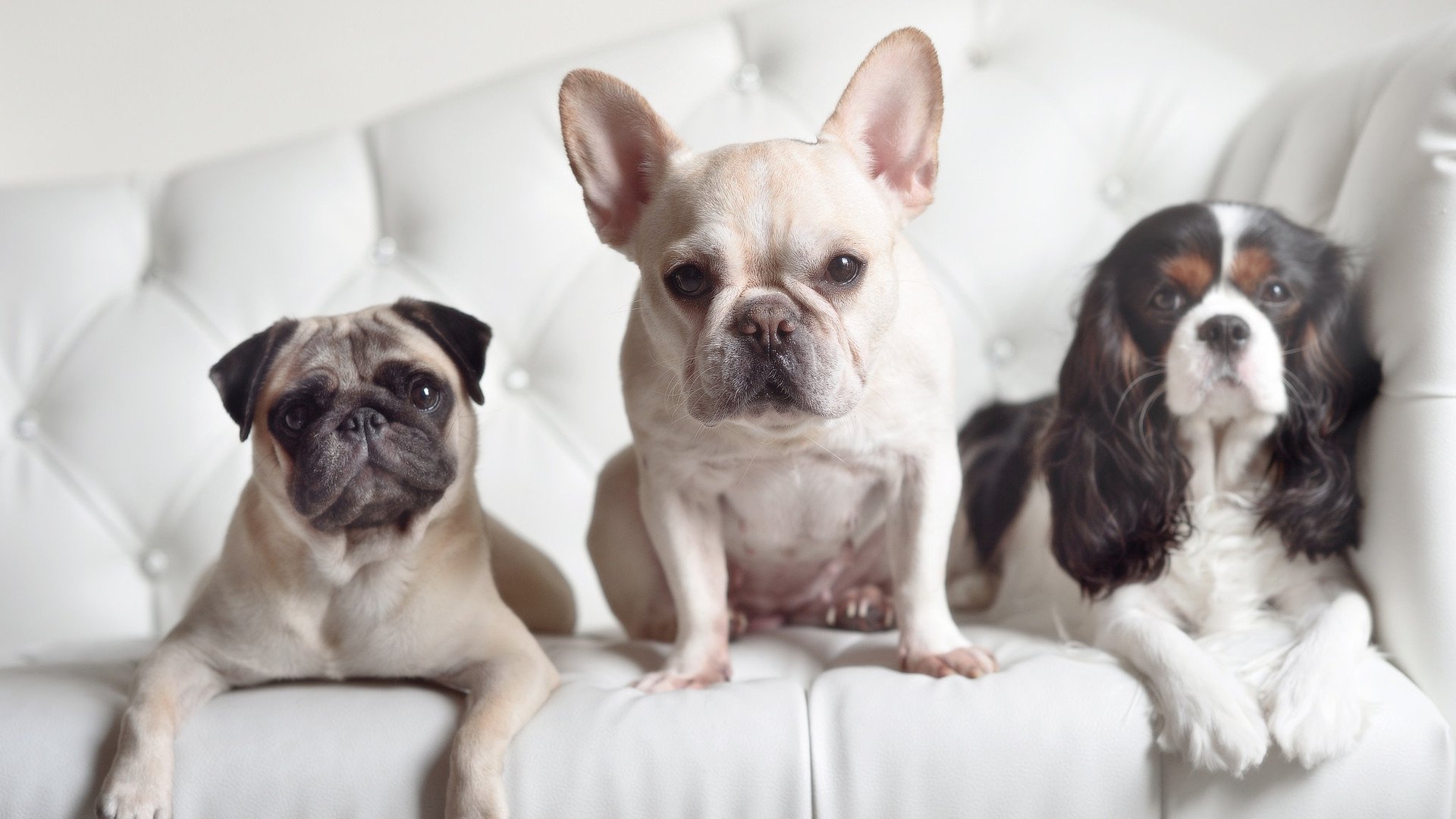 开云·体育官网-国际游泳锦标赛记录屡创新高，2021国际游泳锦标赛