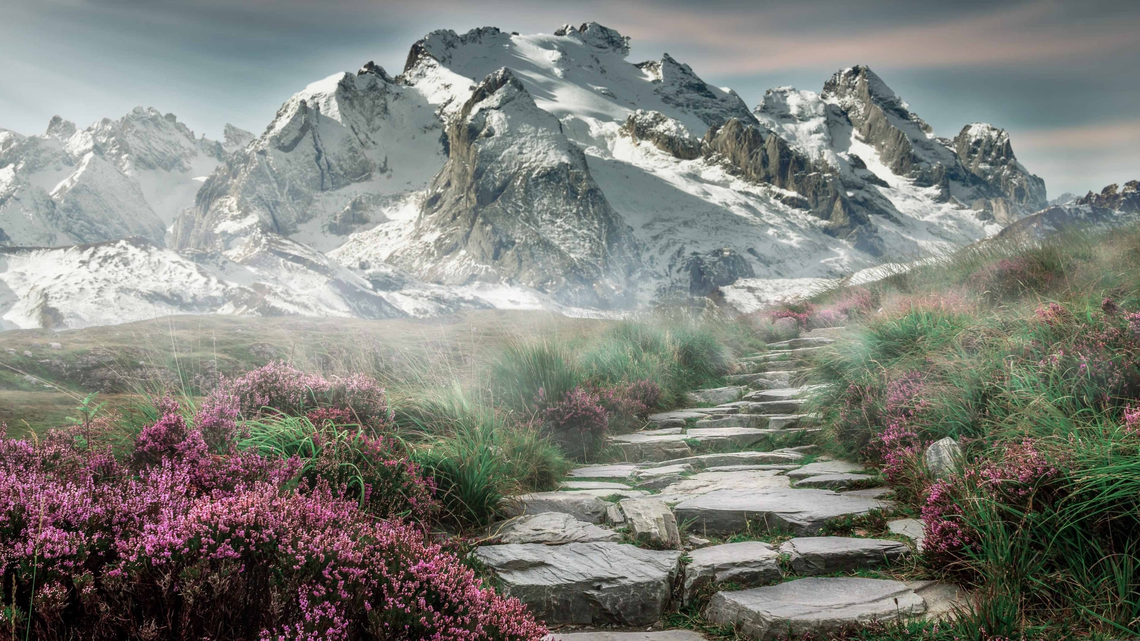 塞尔维亚男篮在欧洲预赛中奋勇争先，未来可期，塞尔维亚男篮12人大名单