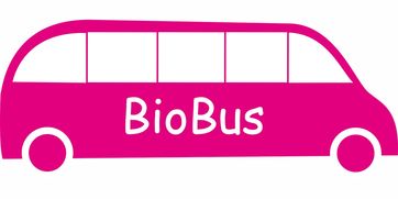 意甲联赛的绿色可持续发展，意甲联赛啥意思